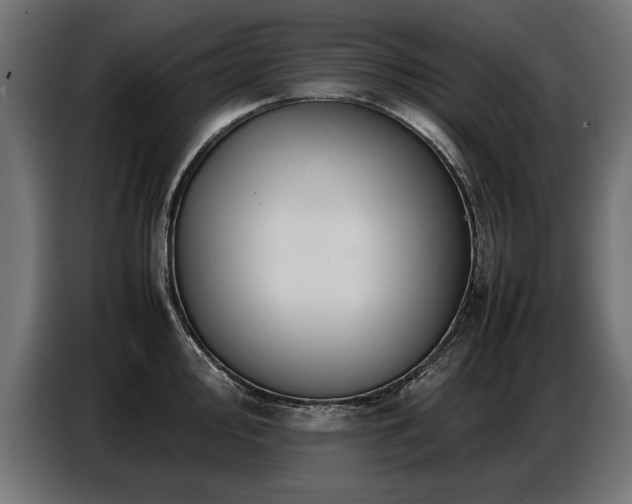 X0000087711000200705041055