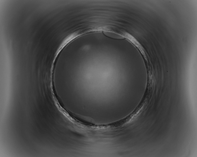 X0000087711002200705041055