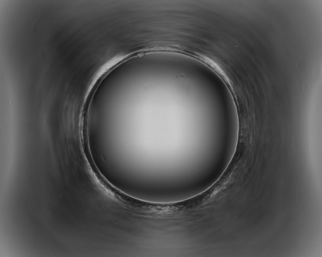 X0000087711003200705041055