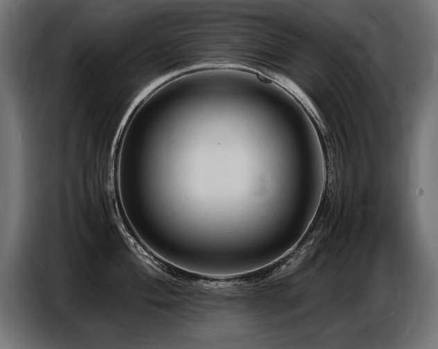 X0000087711004200705041055