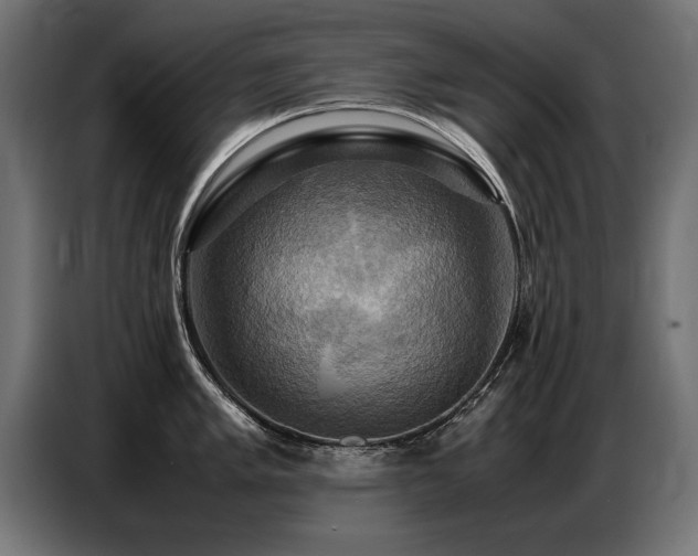 X0000087711005200705041055