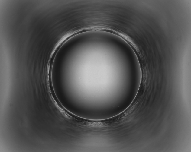 X0000087711006200705041055