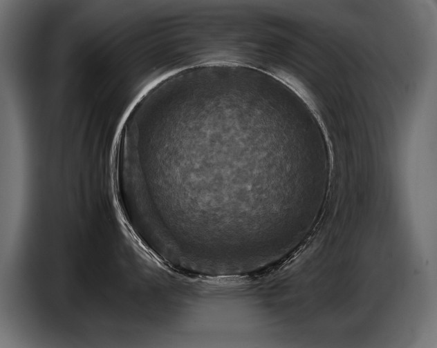 X0000087711008200705041055