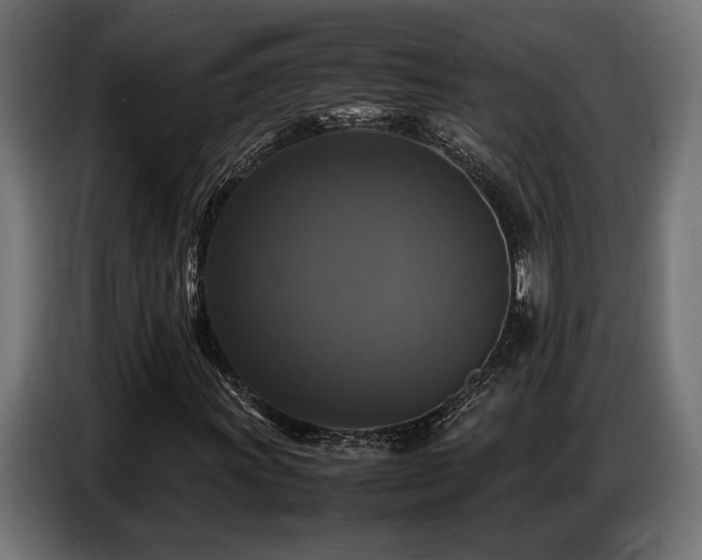 X0000087711011200705041054