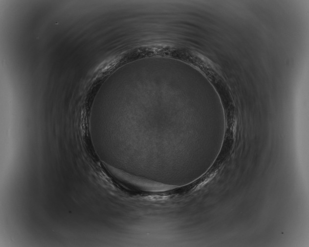 X0000087711014200705041054