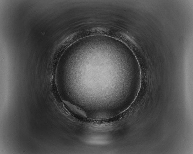 X0000087711015200705041054