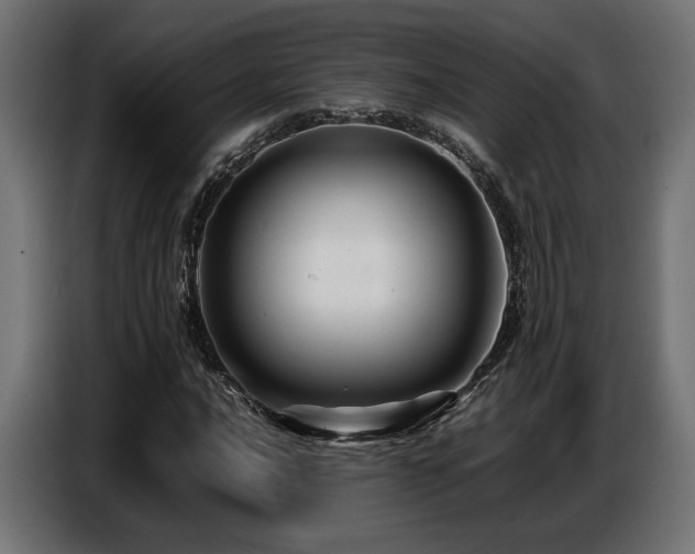 X0000087711016200705041054