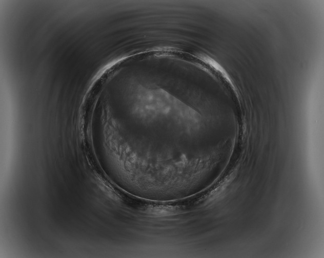 X0000087711019200705041054
