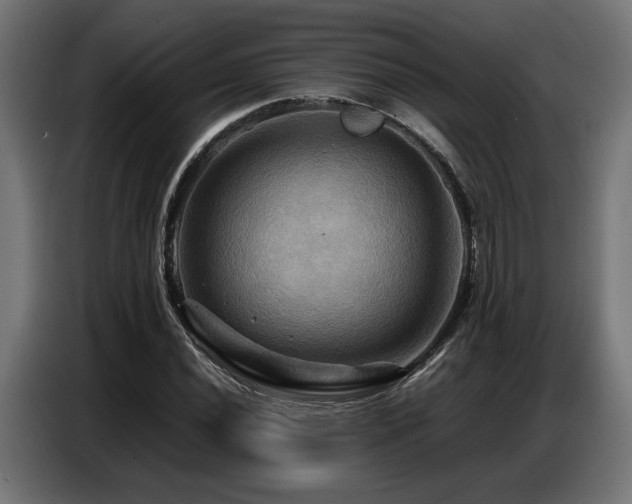 X0000087711020200705041054