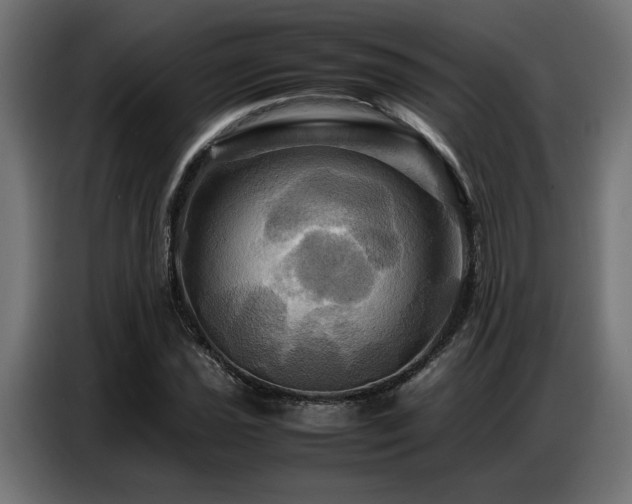 X0000087711021200705041054