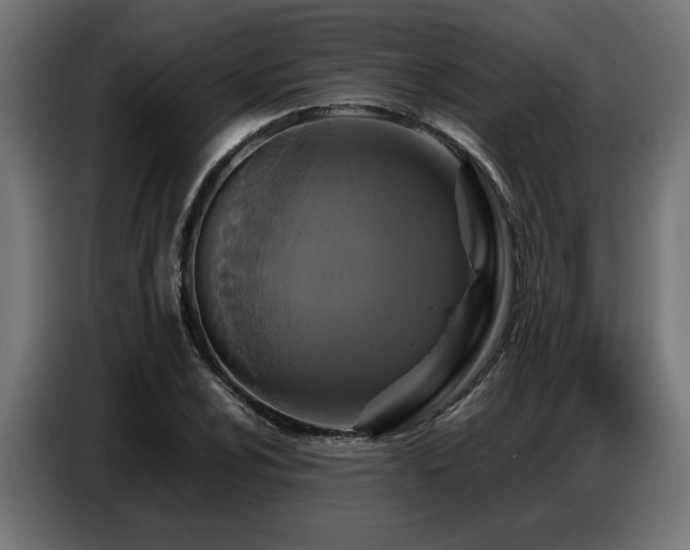 X0000087711024200705041054