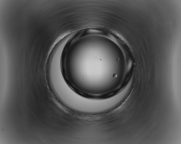 X0000087711026200705041054