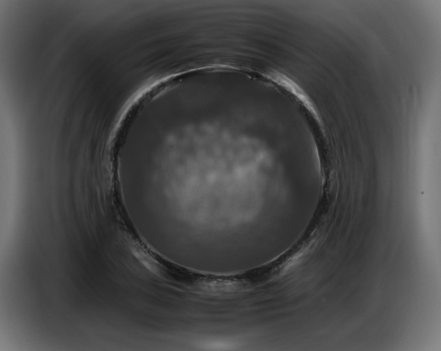 X0000087711027200705041054