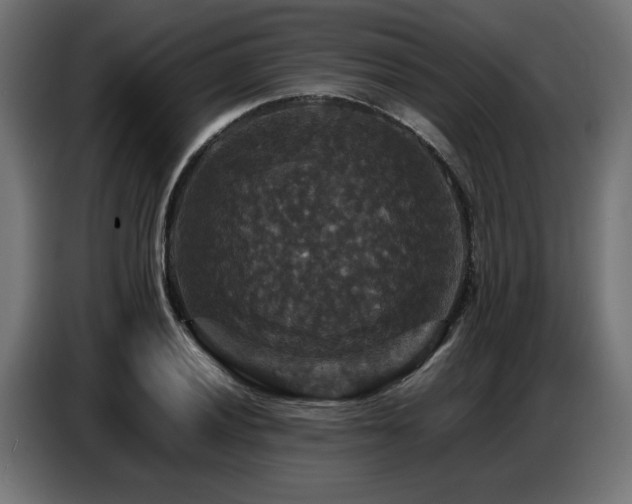X0000087711028200705041054