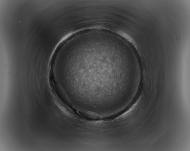 X0000087711029200705041054