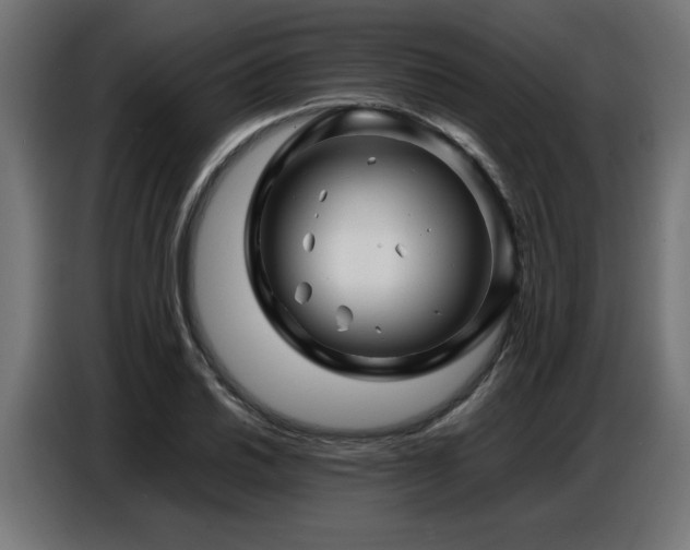 X0000087711030200705041054