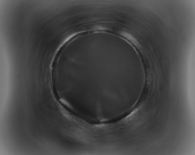 X0000087711031200705041054