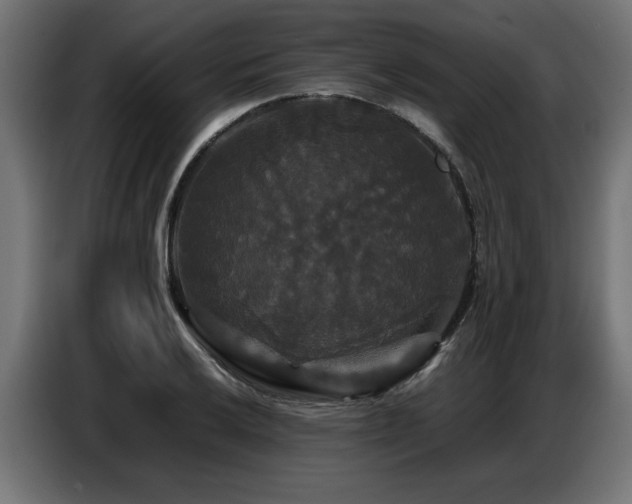 X0000087711032200705041054