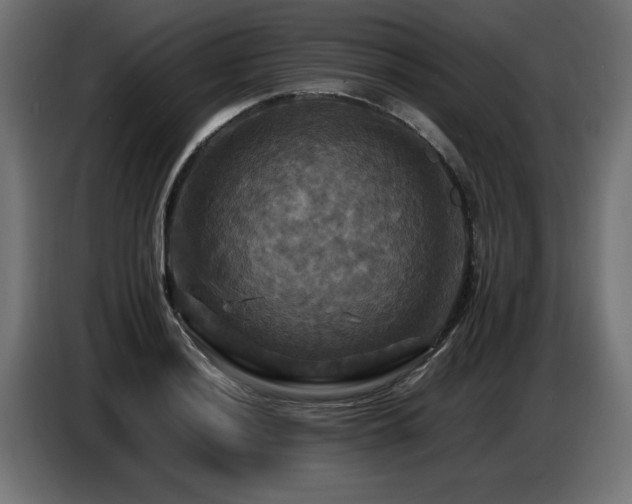 X0000087711036200705041054