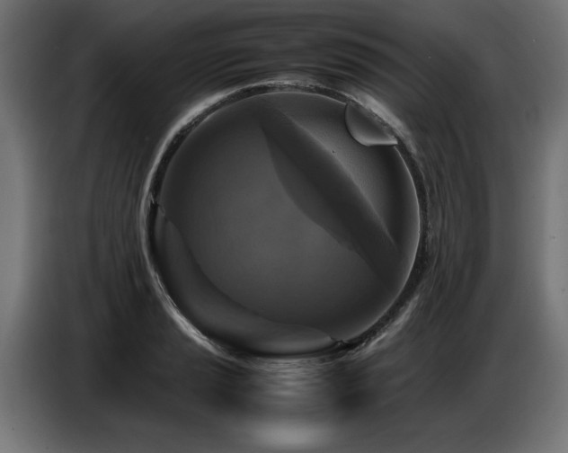 X0000087711037200705041054