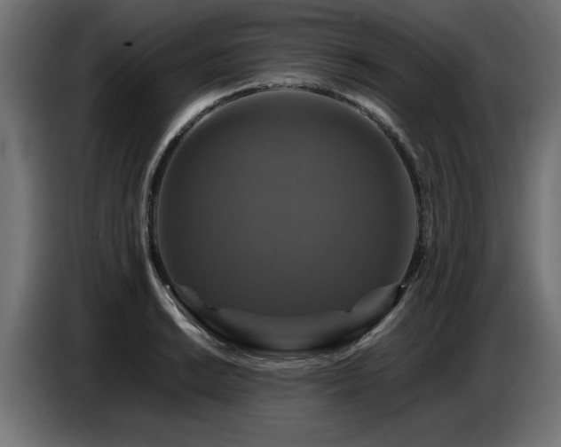 X0000087711038200705041055