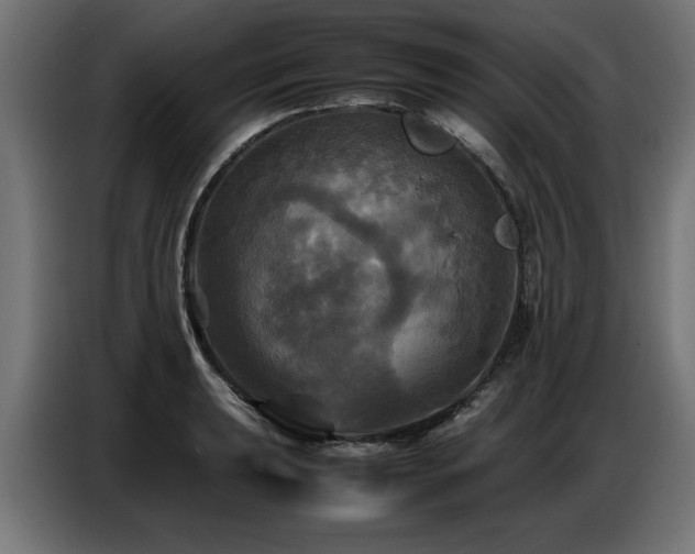X0000087711039200705041055
