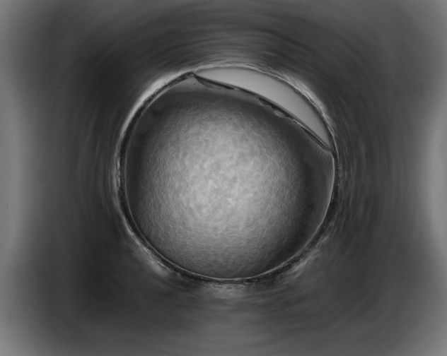 X0000087711040200705041055