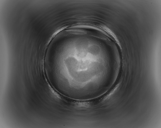 X0000087711041200705041055