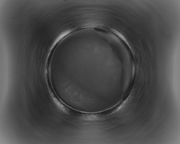 X0000087711042200705041055