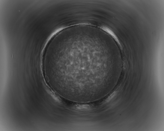 X0000087711043200705041055
