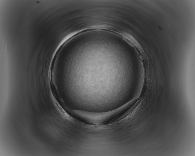 X0000087711044200705041055