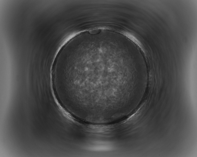 X0000087711047200705041055