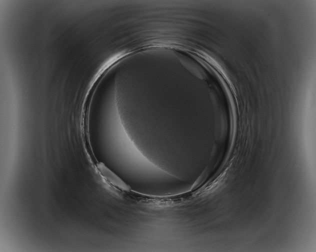 X0000087711050200705041055