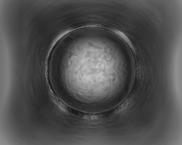 X0000087711051200705041055