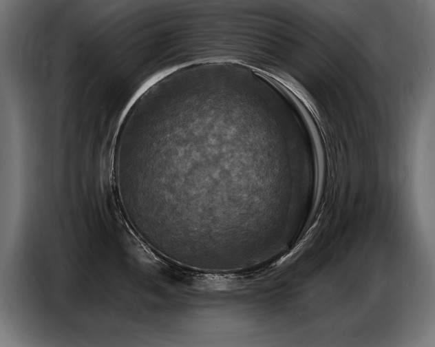X0000087711052200705041055