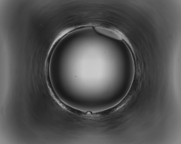 X0000087711053200705041055