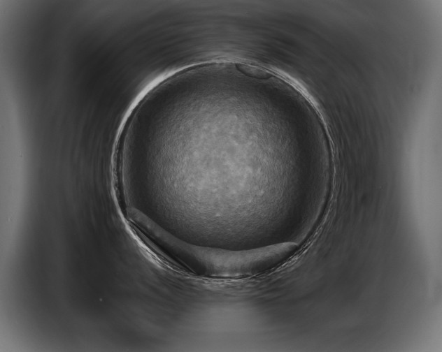 X0000087711056200705041055