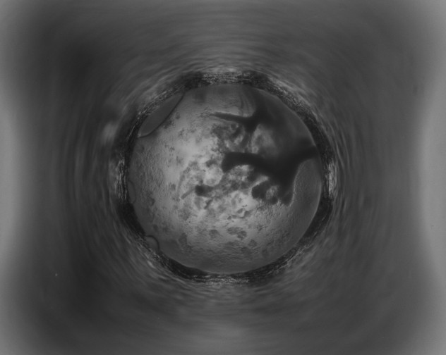 X0000087711059200705041054