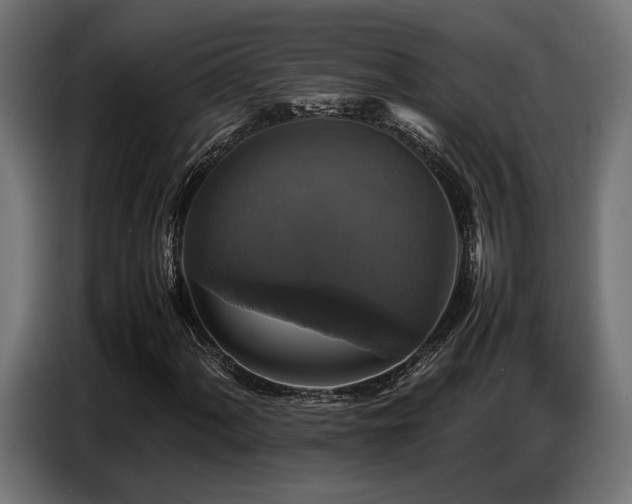X0000087711060200705041054