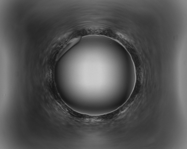 X0000087711061200705041054