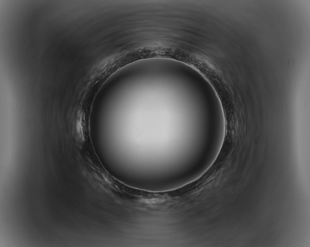 X0000087711062200705041054