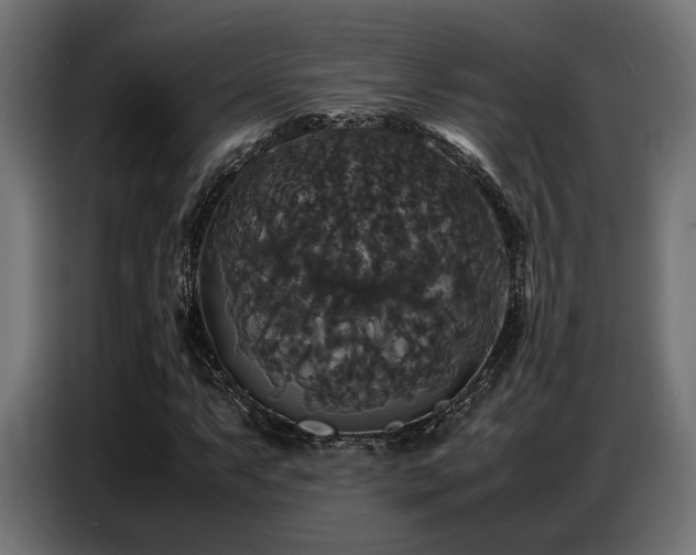 X0000087711063200705041054