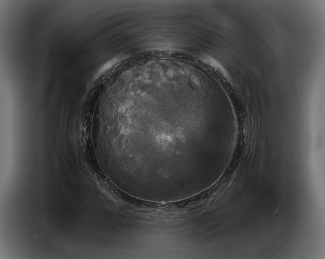 X0000087711064200705041054