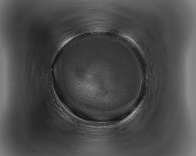 X0000087711065200705041054
