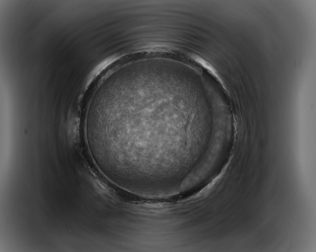 X0000087711066200705041054