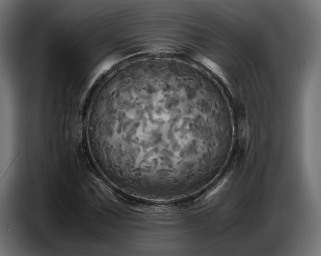 X0000087711067200705041054