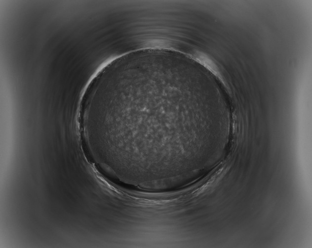 X0000087711068200705041054