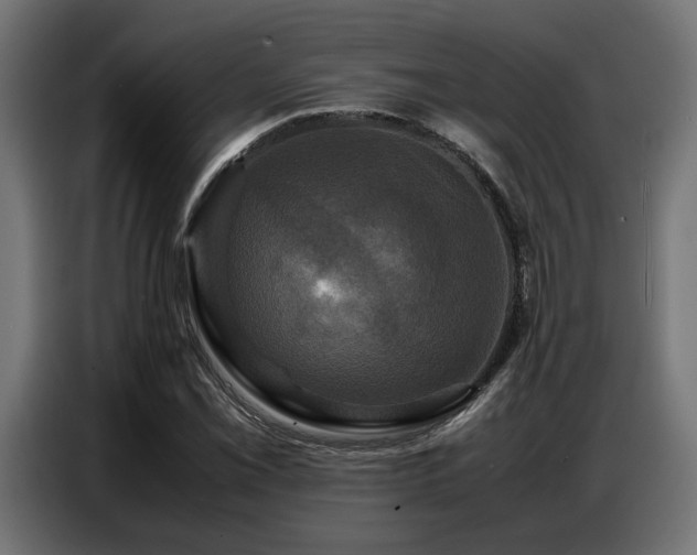 X0000087711069200705041054
