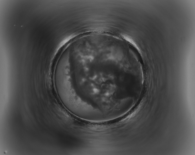 X0000087711071200705041054