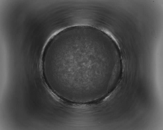 X0000087711072200705041054